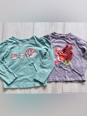 Mini Boden 3T Girls Long Sleeve Top Bundle Hedgehog & Squirrel
